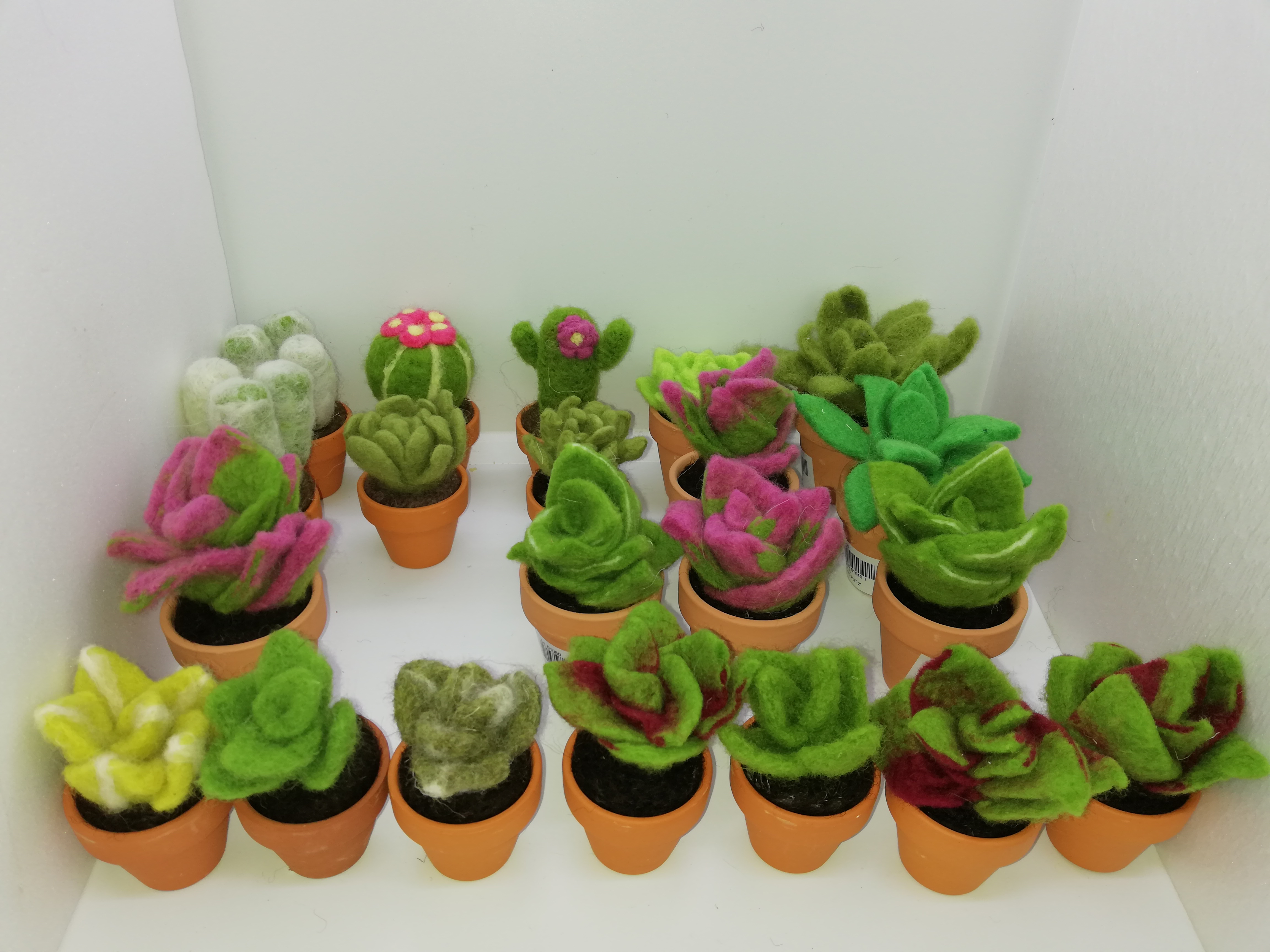 Scultura di lana infeltrita di Fiorella Carnevali: Cactus di lana
