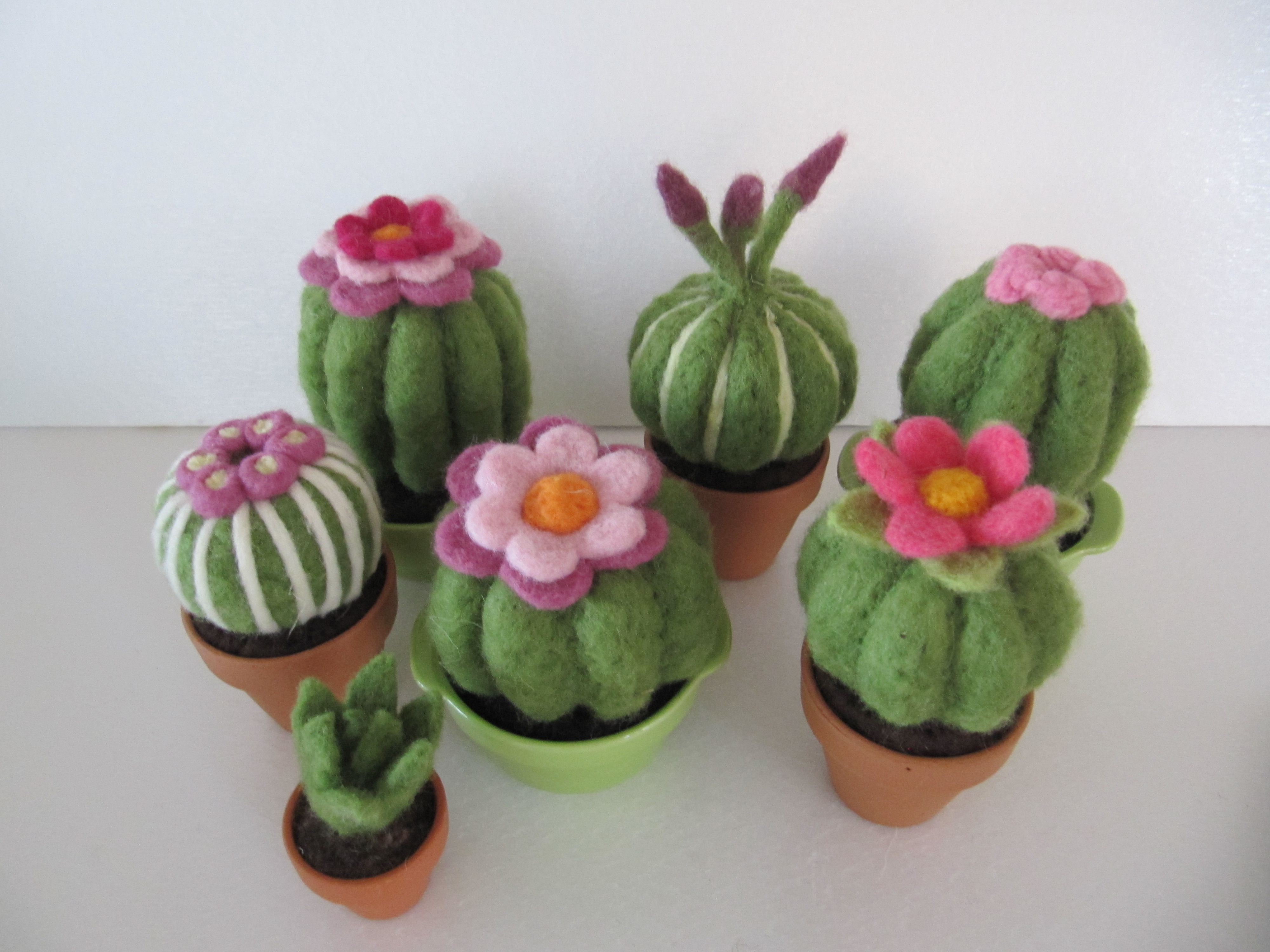 Scultura di lana infeltrita di Fiorella Carnevali: Cactus di lana