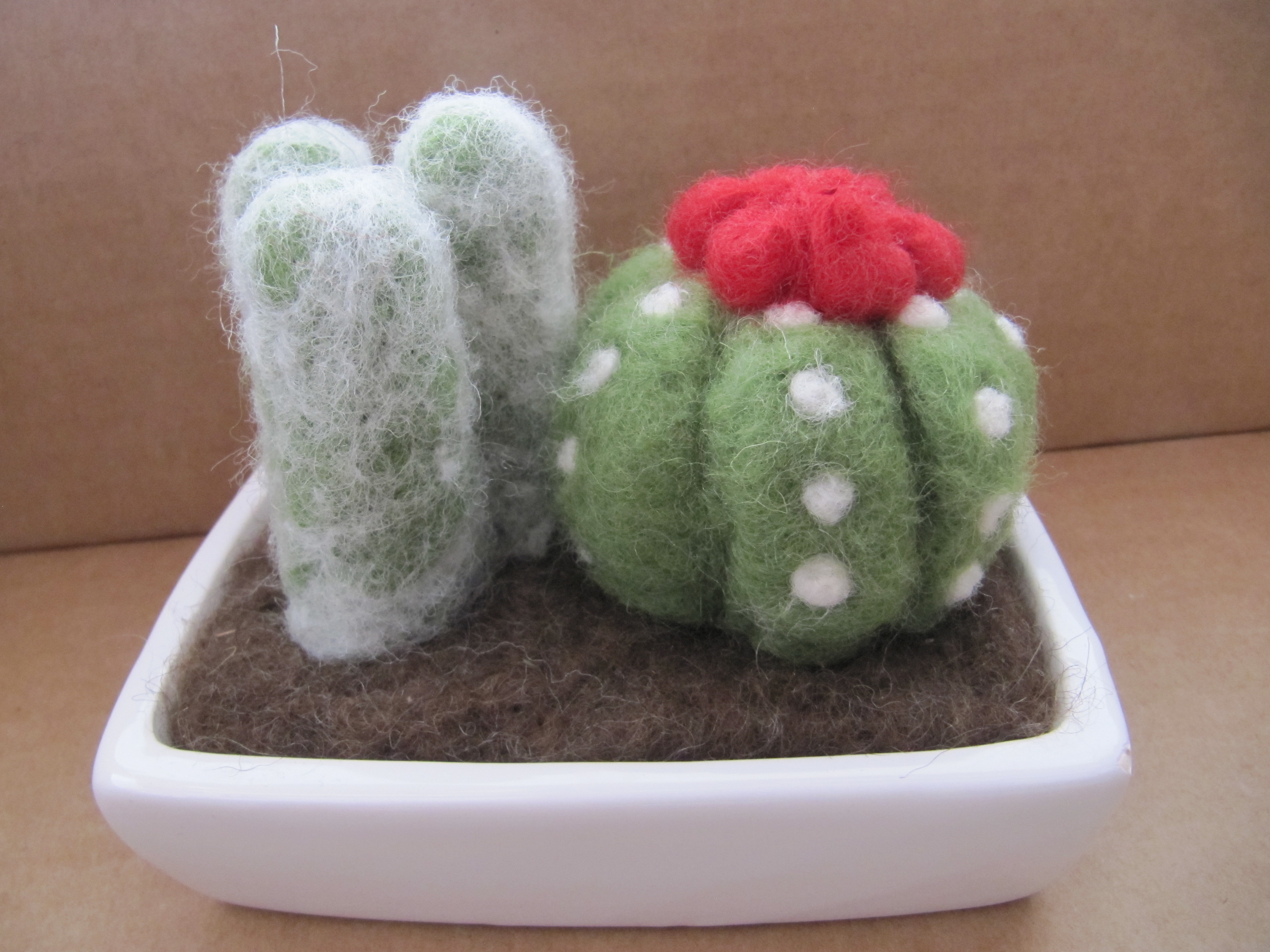 Scultura di lana infeltrita di Fiorella Carnevali: Cactus di lana 46