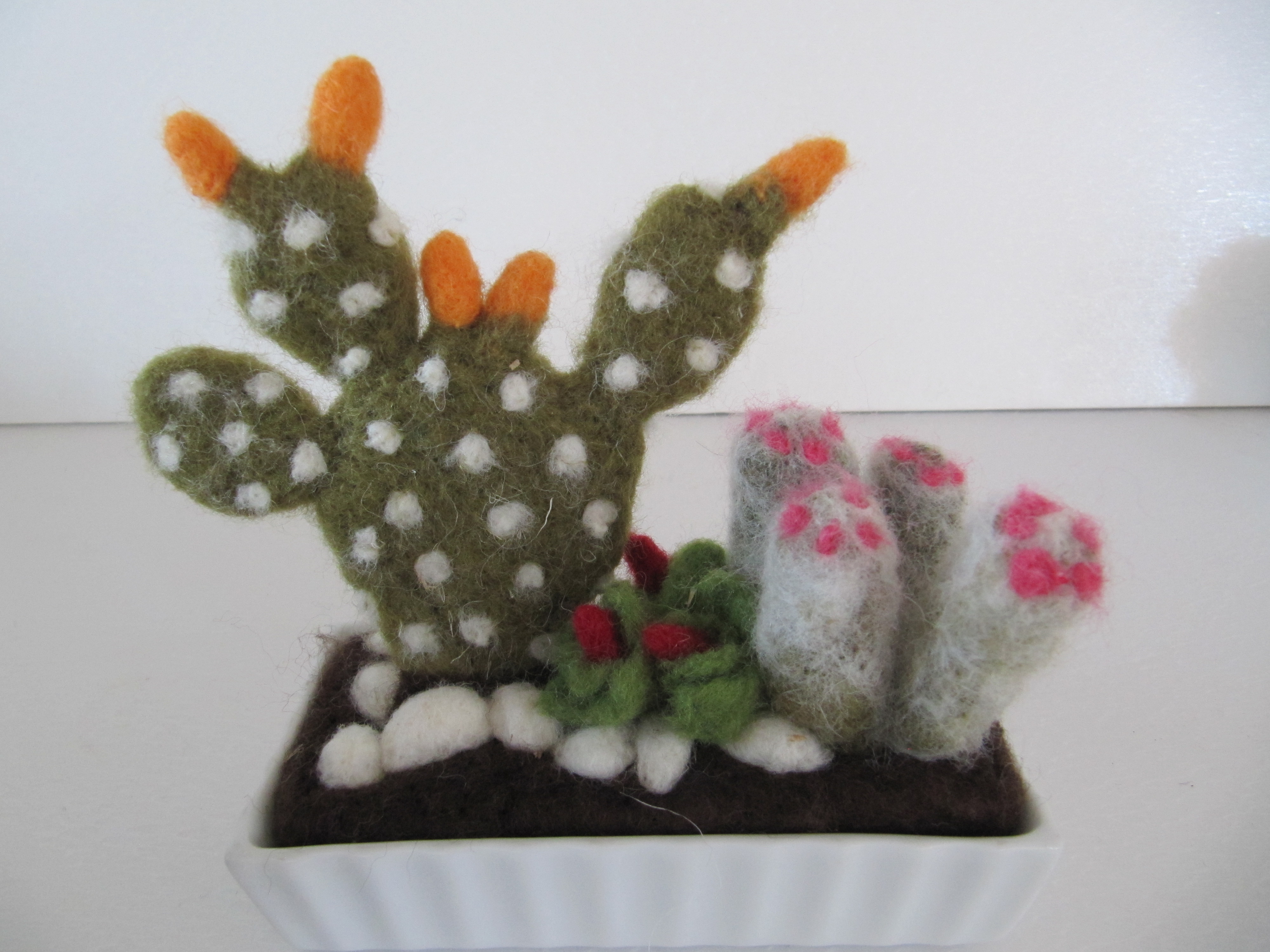 Scultura di lana infeltrita di Fiorella Carnevali: Cactus di lana 47