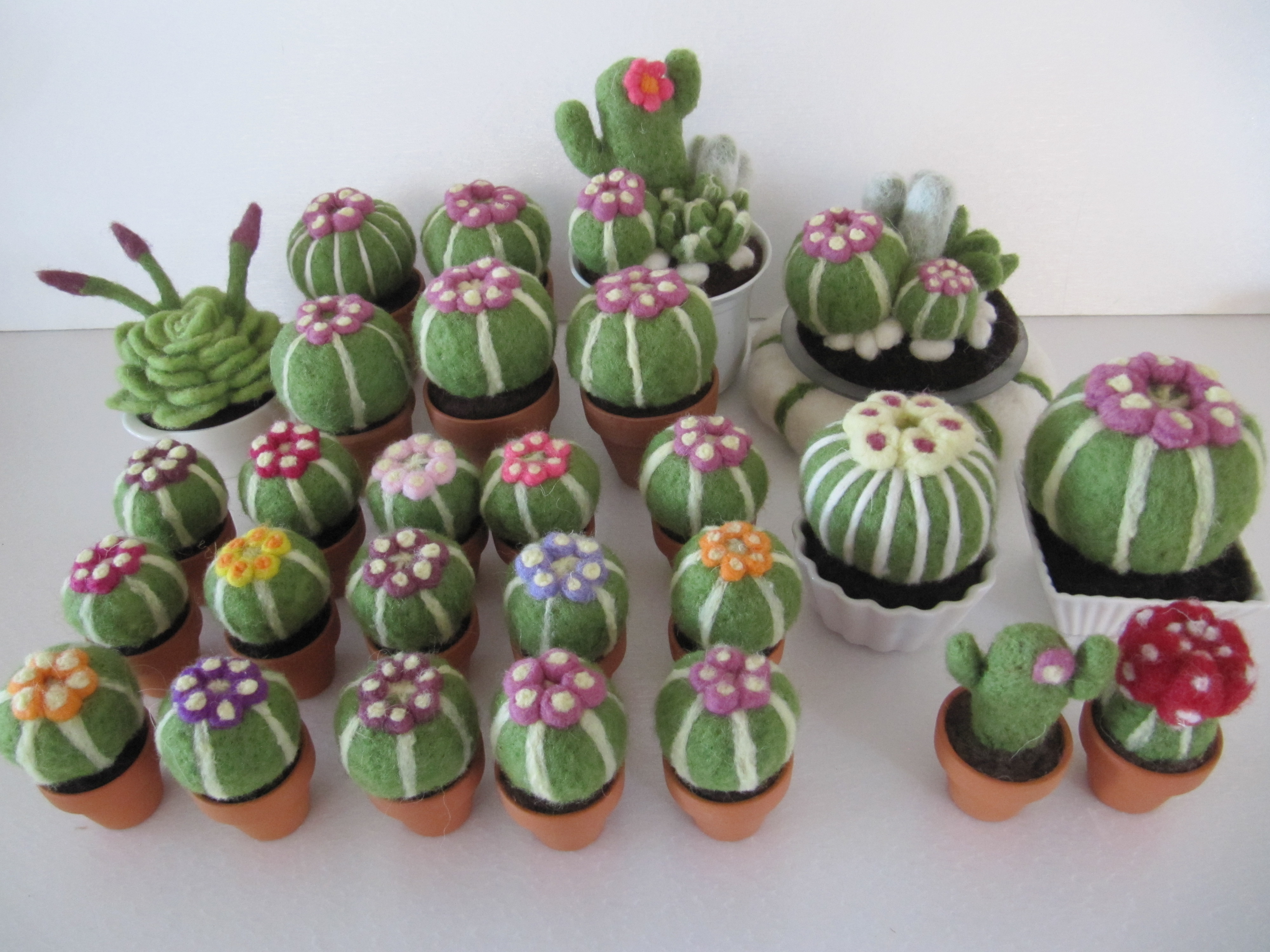 Scultura di lana infeltrita di Fiorella Carnevali: Mostra di cactus di lana 2